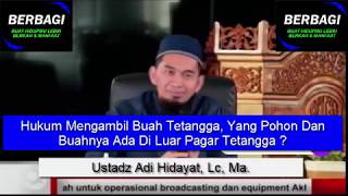 Hukum Mengambil Buah Tetangga, Yang Pohon Dan Buahnya Ada Di Luar Pagar Tetangga ? Ust. Adi Hidayat