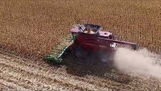 SuperCrop Row-Crop Header - Corn field