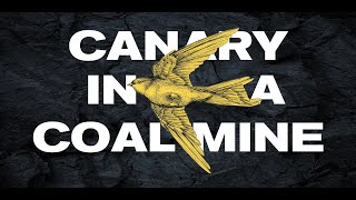 Canary in a Coal Mine // Losing Joy