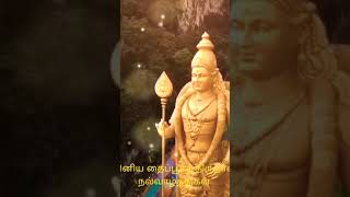 இனிய தைப்பூசத் திருநாள் நல்வாழ்த்துக்கள்||தைப்பூசம்||Thaipoosam Whatsapp status||Lord Murugan Status