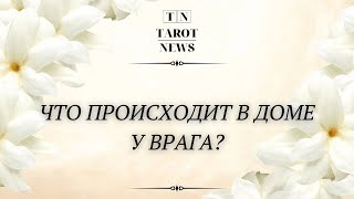 ЧТО ПРОИСХОДИТ В ДОМЕ У ВРАГА?