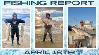 New Jersey Fishing Report April 18th #fishingreport #surffishing #stripedbass