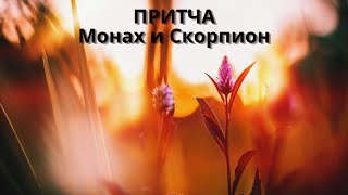 ПРИТЧА. Монах и Скорпион. Мудрость веков.