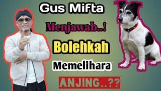 Gus Mifta Menjawab / Bolehkah Memelihara Anjing..??