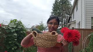 vegetable harvest,  zucchini,  capsicum,  green chili, peas, beans, cherry tomatoes, and Dahlias