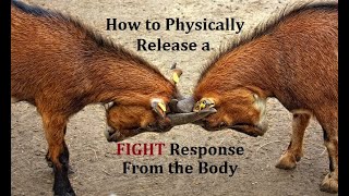 How to Release a Fight Response when the Body wants to Hit Something