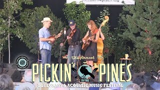 Foghorn Stringband - Pickin' in the Pines 2017