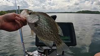 Livescoping Percy Priest w Captain Crappie