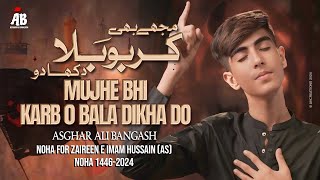 Mujhy Bhi Karbobala Dekha Do | Asghar Ali Bangash | Zaireen E Imam Hussain a.s Noha | 2024 - 1446