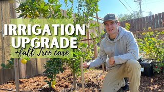 DEEP WATERING // How to Upgrade Your Garden Irrigation with Drip Stakes + Fall Fruit Tree Care Zone9