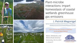 W3 seminar: Plant-microbe interactions impart homeostasis of coastal wetland greenhouse gas emission