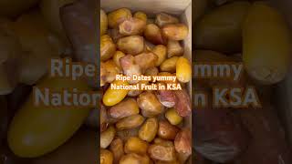 Ripe Dates | Natl fruits in Saudi Arabia