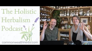 Accessible Herbalism for Diabetes | The Holistic Herbalism Podcast