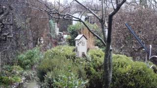 Birds in Garden, Fermoy, Co. Cork