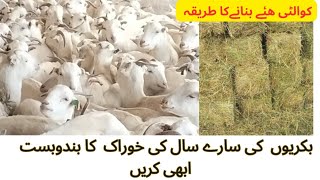 How to Make Quality Hay ll ھہۓ بنانے کاطریقہ