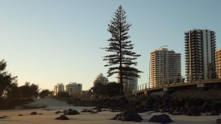 Goldcoast Sunrise on 35mm //  Kodak Gold + Portra 400