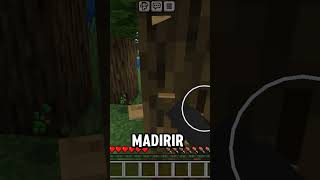 Minecraft Mais Eu Não Posso Falar A Letra Que Cair Na Roleta #minecraft #shorts