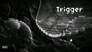 Flo T. - Trigger (Visual)