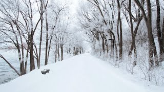 【4K】Snowfall in Iran | Walking in the Winter Snow Feb.2022