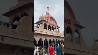 Shri Radha Rani Temple, Barsana #radha #temple #barsana #mandir #trending #shortsfeed #love