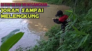 Mancing di sungai besar dapat predator