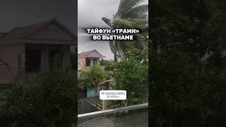 Тайфун «Траме» во Вьетнаме