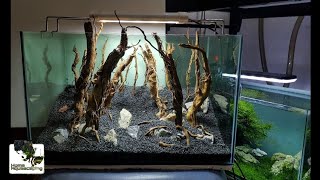 SETUP Forest Aquascape PART 1|Membuat Aquascape|水草造景