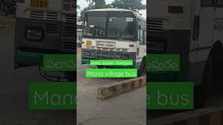 Apsrtc palasa - mandasa- singupuram palle velugu bus#shorts