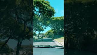 Driving in Maui Hawaii