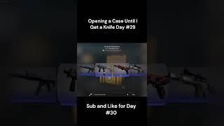 Opening a Case Until I Get a Knife Day #29