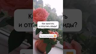 Как простить и отпустить обиды? три простых фразы 🏵️