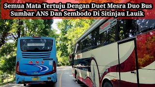 Semua mata tertuju dengan duet mesra duo bus Sumbar ANS dan Sembodo di sitinjau lauik