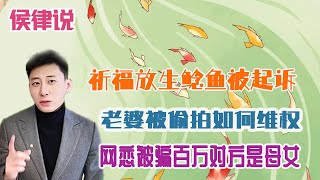 【侯律说】112 祈福放生鲶鱼被起诉  | 网恋被骗百万对方是母女