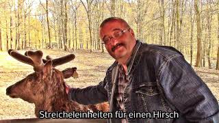 Zu Besuch im Wildpark Daun – 7