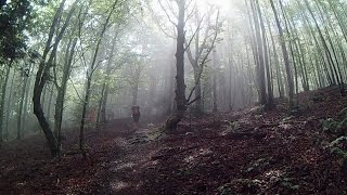 Parapente - Cornudère - Instants Magiques