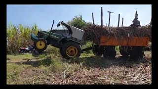 John Deere 55 HP Sugar cane load // tractor load Sugar cane