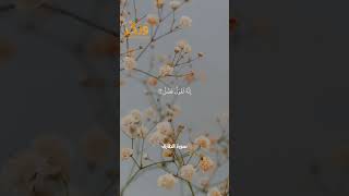 سورة الطارق الآيات من 10 إلى 17 بصوت القارئ ماهر المعيقلي #حالات واتس  #quran #shorts