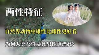 自然界动物中，雄性比雌性更好看，为何人类女性要比男性更漂亮？【唯物观科普】