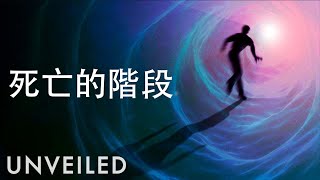 我們死後會發生甚麼？｜Unveiled中文