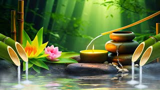 Relaxing Piano Music & Nature Sounds | Calm Music, Meditation Music, Work, Bamboo