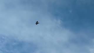 F-22 Raptor Slow Flight Demonstration at AirVenture Oshkosh 2023