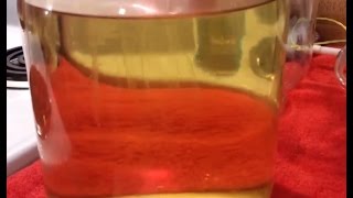 Lemon Clove Mead part 3