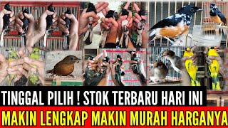 🔴 PROMO HARI INI ! LENGKAP STOKNYA BURUNG LOKAL & IMPORT 0838-7553-6945