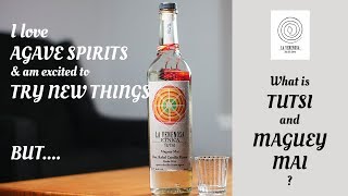 S1:E24 La Venenosa Tutsi Review