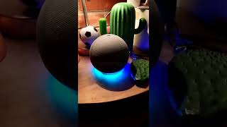 Alexa se emociona por un #gol ⚽ 🤣 #comedia #futbol #humor #googlehome #fifa22 #broma