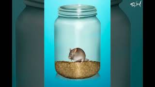 Story of a mouse trapped in a jar