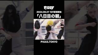 2024年6月7日「八日目の朝」先行配信&MV公開決定！#shorts  #PIGGS