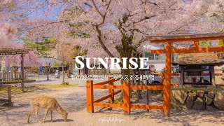 [ playlist ] 3月先に聴きたい心地よい爽やか洋楽の | A playlist to lift your mood | 洋楽 Playlist