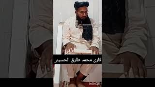 قاری محمد طارق الحسینی