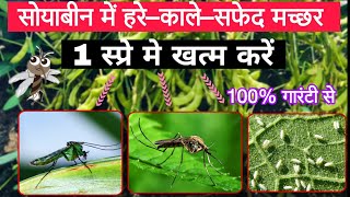 सोयाबीन में मच्छरों की बेस्ट दवाई | हरे काले सफेद मच्छर की रोकथाम Mosquito control, soybean ki kheti